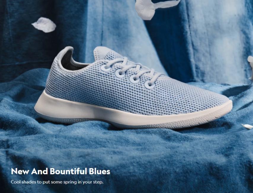 Allbirds : exercice 2024